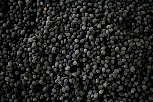 Bhatt (Black Soybean)