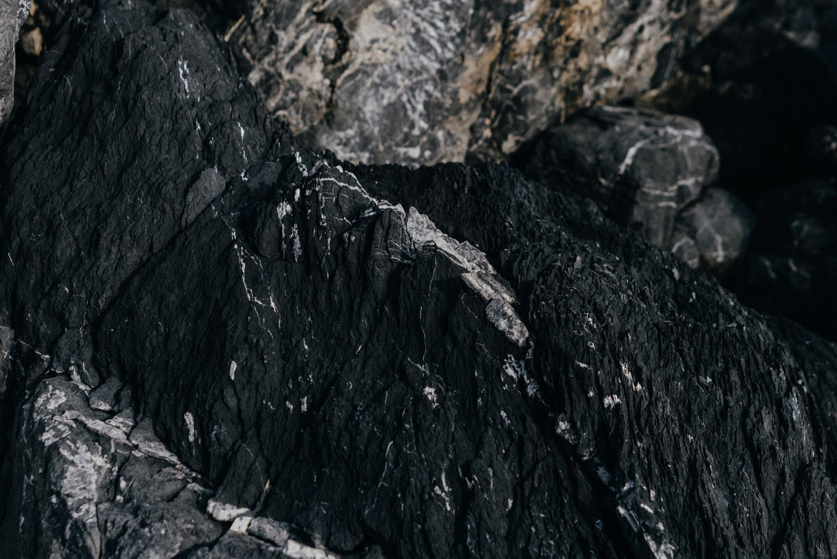 A close-up of black rock with thin white mineral veins running through it