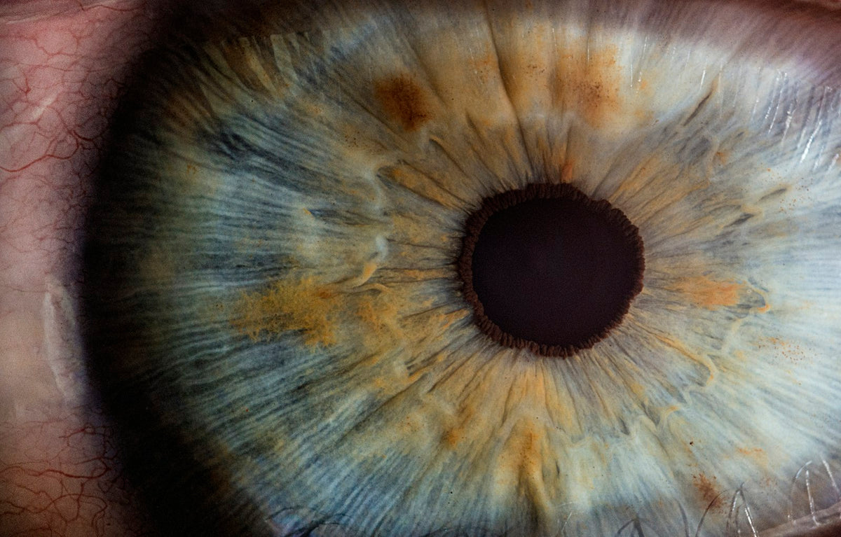 An extreme close-up of a human eye: a blue-grey iris flecked with amber around a dark pupil, fine red veins in the white
