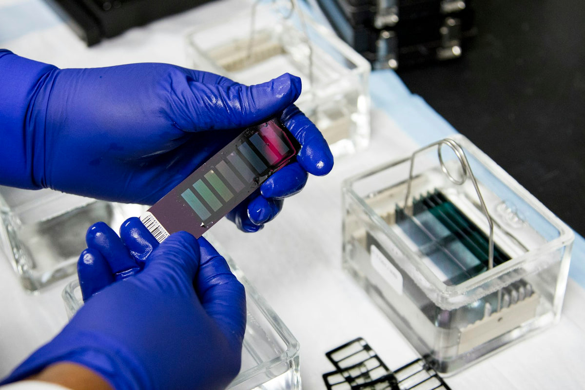 Gloved hands holding a sample slide in a laboratory