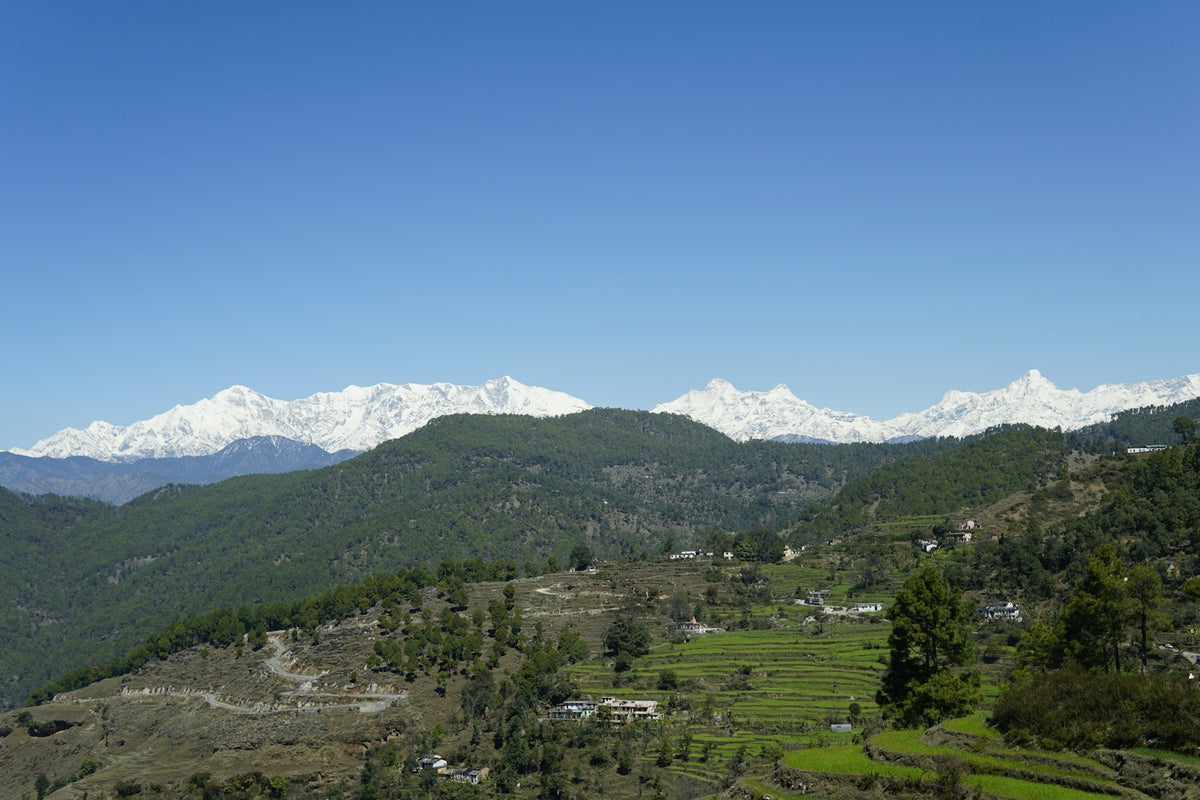 Terraced hillsides with snow peaks beyond