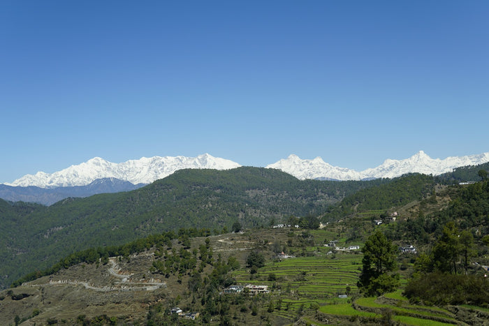 Terraced hillsides with snow peaks beyond