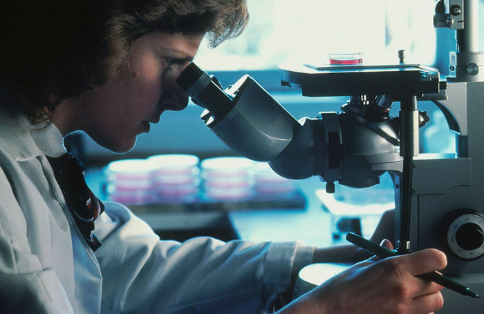 A scientist looking into a microscope
