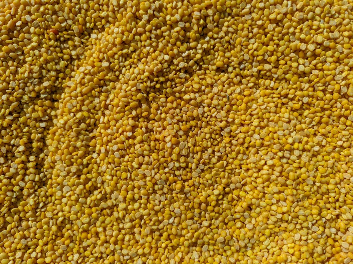 A close-up of yellow split moong dal filling the whole frame