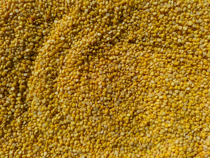 A close-up of yellow split moong dal filling the whole frame