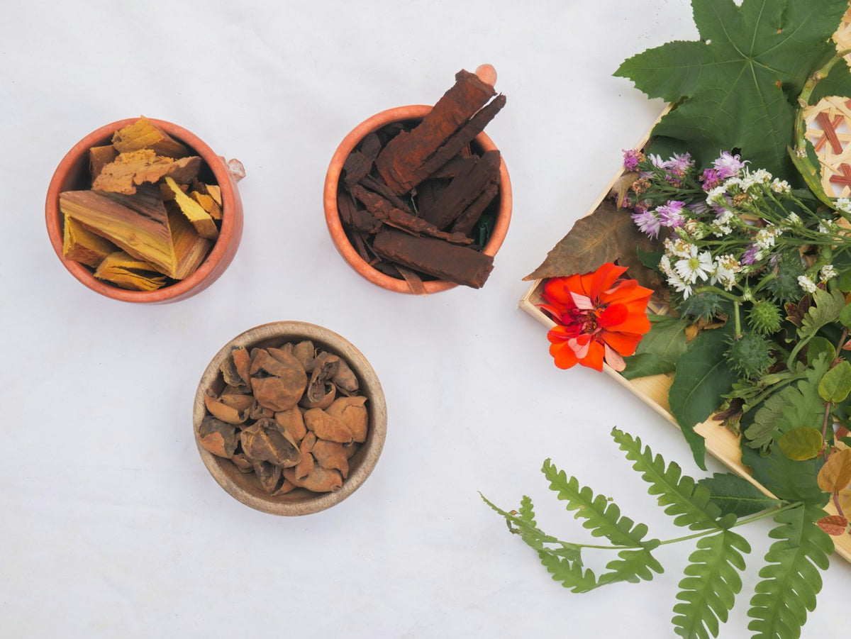 Bowls of dried herbs and bark beside fresh leaves