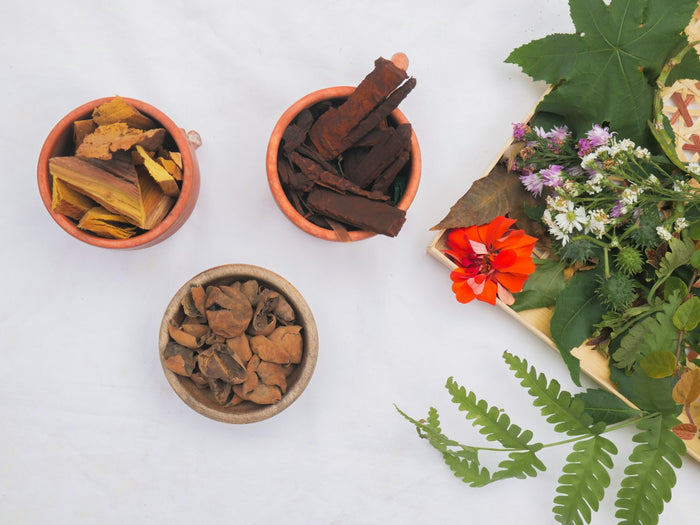 Bowls of dried herbs and bark beside fresh leaves