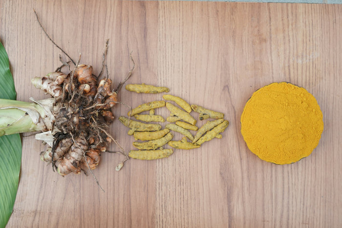 Fresh turmeric rhizomes, dried turmeric fingers and a round heap of turmeric powder on a wooden surface