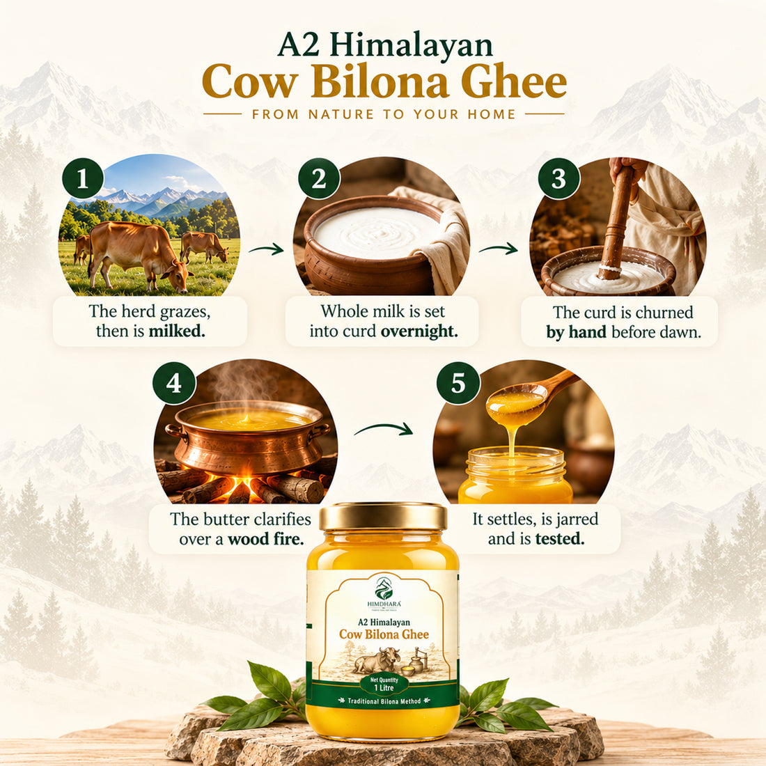 Infographic of the bilona method in five steps, from the grazing herd to the jarred and tested ghee