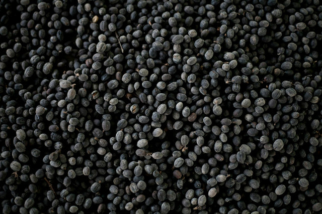 Bhatt (Black Soybean) — view 1