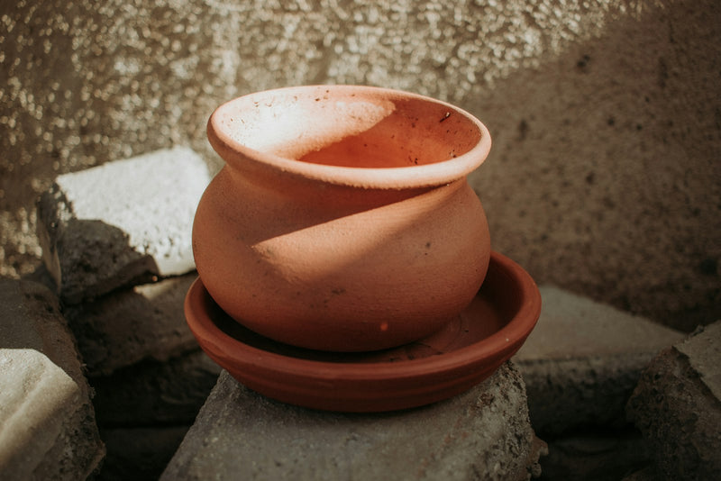 Milk setting into curd in an earthen pot