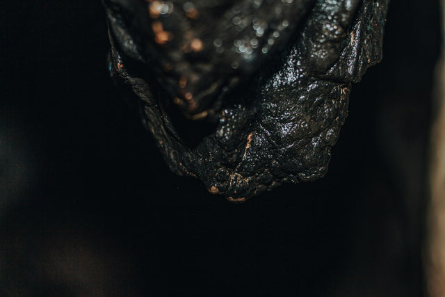 Himalayan Shilajit Resin — view 1